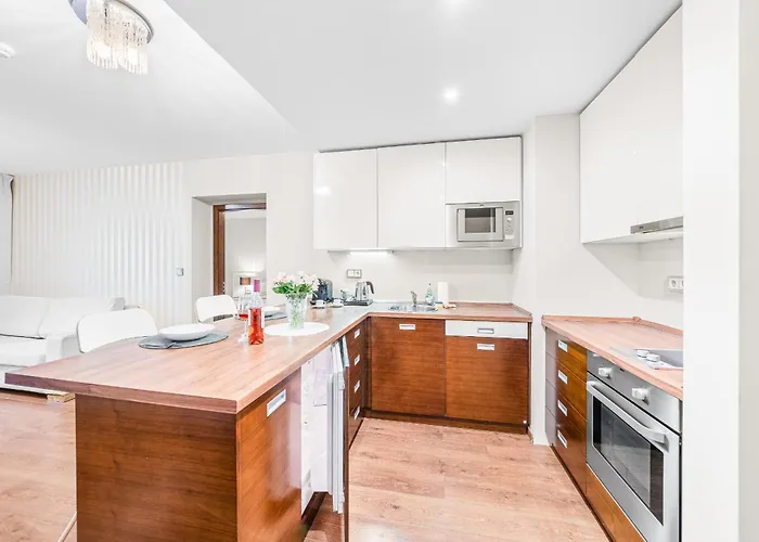 Spacious In Perfect Location 52m2 * プルゼニ